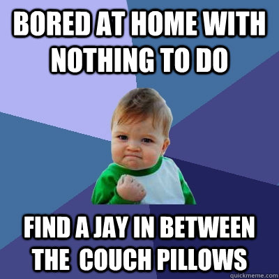 bored at home with nothing to do find a jay in between the  couch pillows  Success Kid