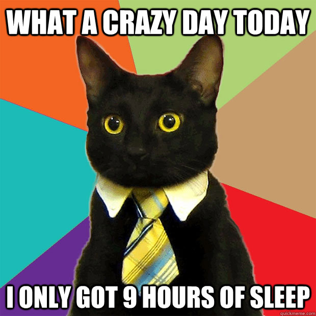 What a crazy day today I only got 9 hours of sleep - What a crazy day today I only got 9 hours of sleep  Business Cat