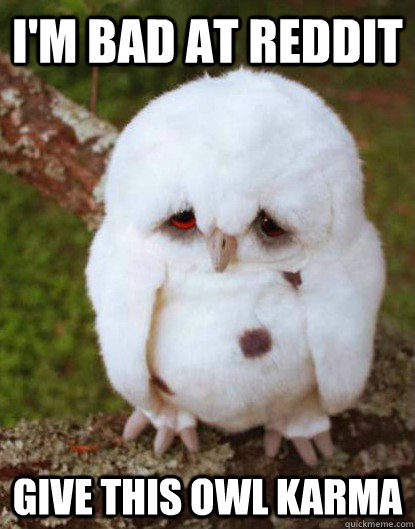 i'm bad at reddit give this owl karma  Depressed Baby Owl