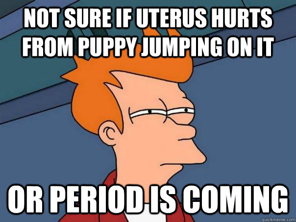 Not sure if uterus hurts from puppy jumping on it or period is coming  Futurama Fry