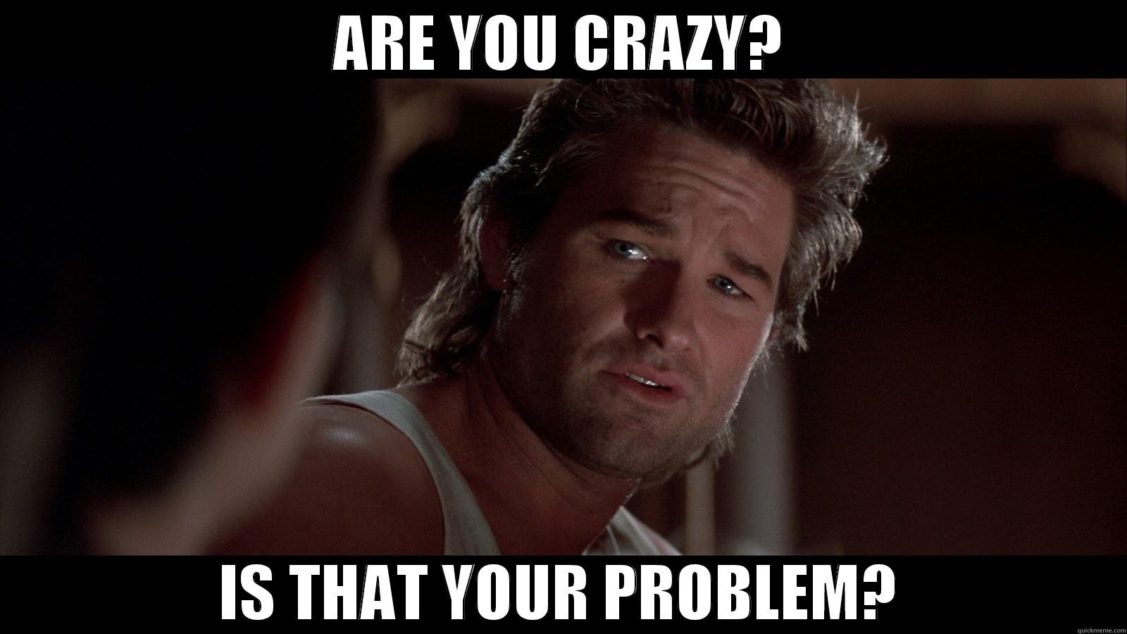 ARE YOU CRAZY? IS THAT YOUR PROBLEM? Misc