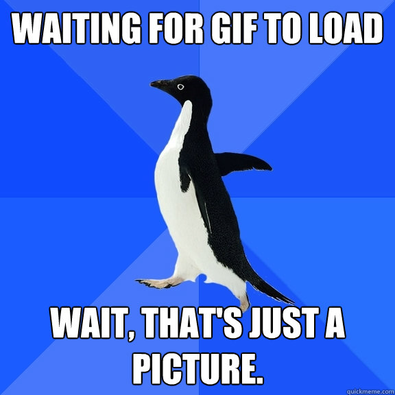 Waiting for gif to load Wait, that's just a picture.  Socially Awkward Penguin