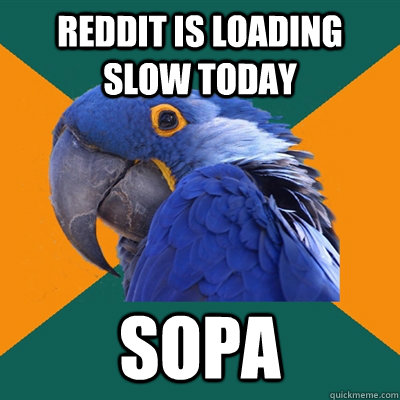reddit is loading slow today sopa  Paranoid Parrot