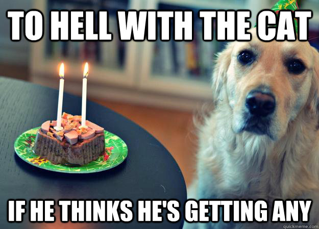 To Hell with the cat If he thinks he's getting any  Sad Birthday Dog