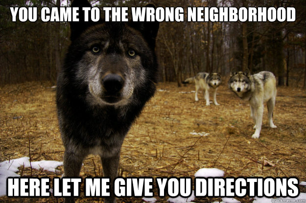 You came to the wrong neighborhood Here let me give you directions - You came to the wrong neighborhood Here let me give you directions  Concerned Wolf