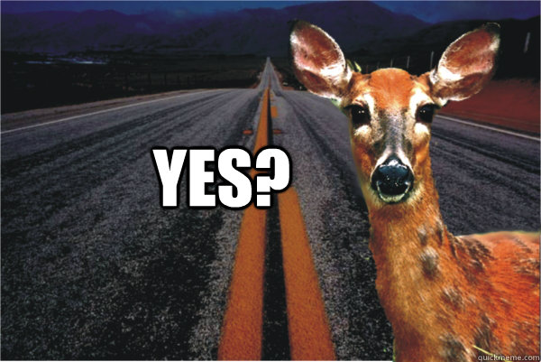  Yes? -  Yes?  Deer in Headlights