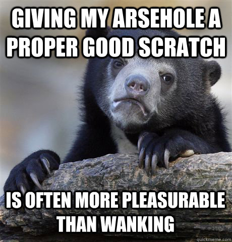 GIVING MY ARSEHOLE A PROPER GOOD SCRATCH IS OFTEN MORE PLEASURABLE THAN WANKING  Confession Bear