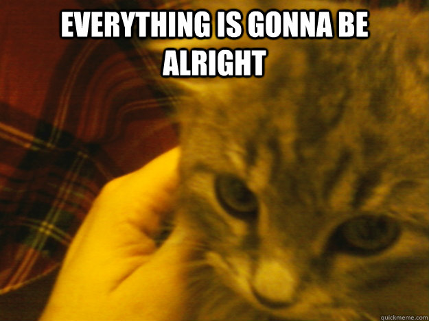everything is gonna be alright - everything is gonna be alright  Reassurance Cat