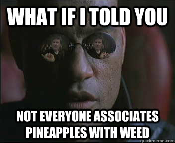 What if i told you not everyone associates pineapples with weed - What if i told you not everyone associates pineapples with weed  brink what if i told you