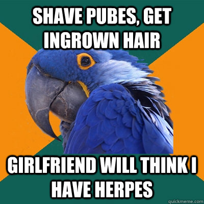 shave pubes, get ingrown hair girlfriend will think i have herpes  Paranoid Parrot