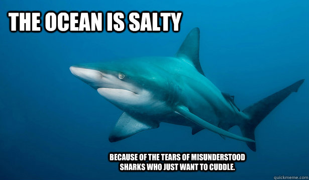 The Ocean is Salty Because of the tears of misunderstood sharks who just want to cuddle. - The Ocean is Salty Because of the tears of misunderstood sharks who just want to cuddle.  Sad Shark