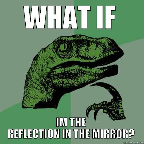 WHAT IF IM THE REFLECTION IN THE MIRROR? Philosoraptor