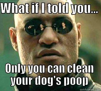 WHAT IF I TOLD YOU...  ONLY YOU CAN CLEAN YOUR DOG'S POOP Matrix Morpheus