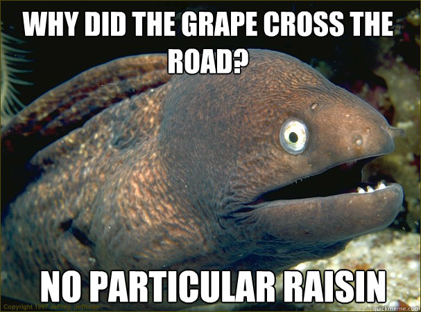 no particular raisin   Why did the grape cross the road? - no particular raisin   Why did the grape cross the road?  Bad Joke Eel