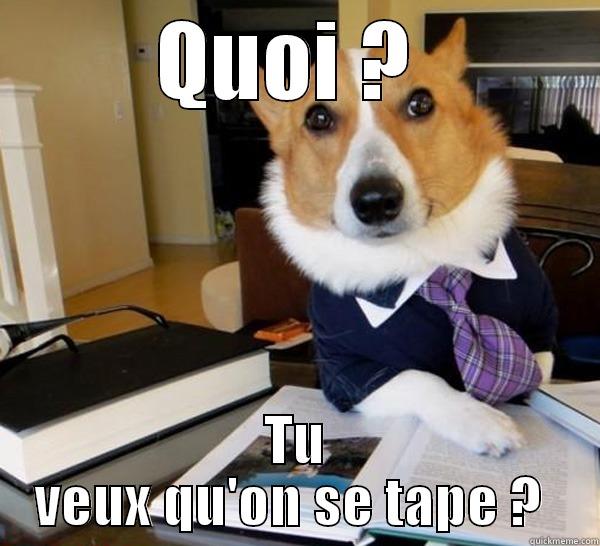 QUOI ?  TU VEUX QU'ON SE TAPE ?  Lawyer Dog