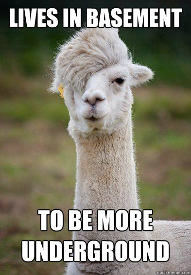 Lives in basement To be more underground - Lives in basement To be more underground  Hipster Llama