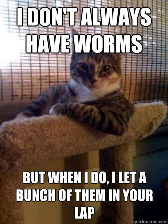 i don't always have worms but when i do, i let a bunch of them in your lap  The Most Interesting Cat in the World