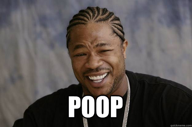  POOP  Xzibit meme