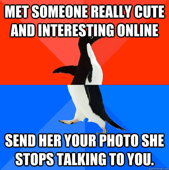 Met someone really cute and interesting online send her your photo she stops talking to you.  Socially Awesome Awkward Penguin