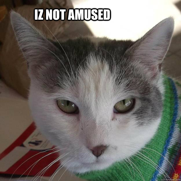 Iz not amused - Iz not amused  Misc