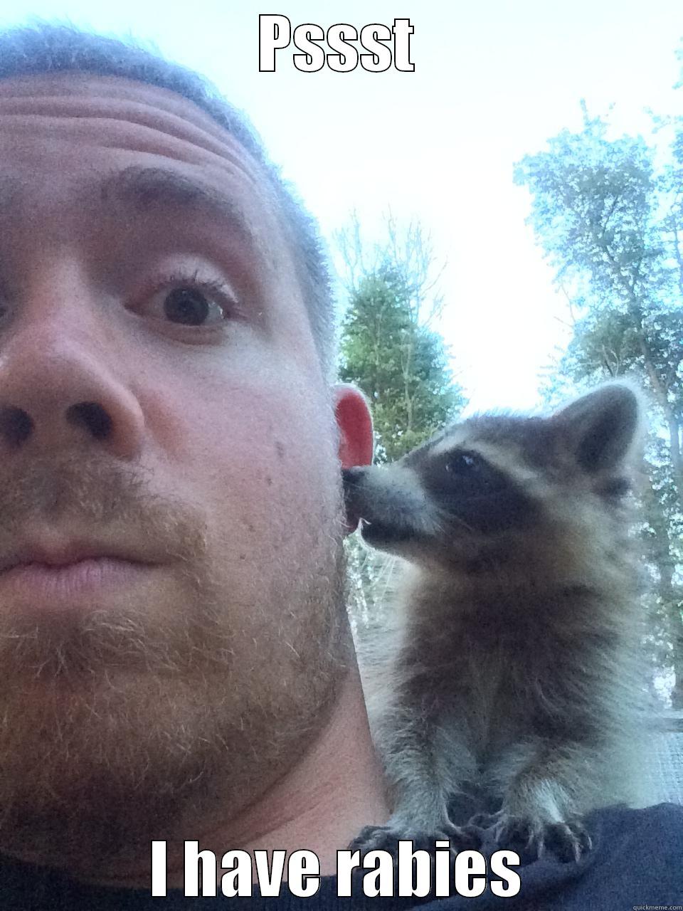 racoon lovin - PSSST I HAVE RABIES Misc