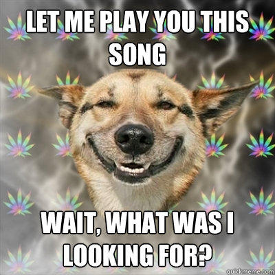 LET ME PLAY YOU THIS SONG WAIT, WHAT WAS I LOOKING FOR?  Stoner Dog