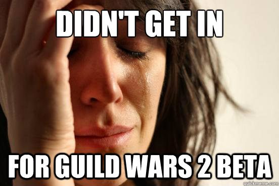 Didn't Get In For Guild wars 2 Beta - Didn't Get In For Guild wars 2 Beta  First World Problems