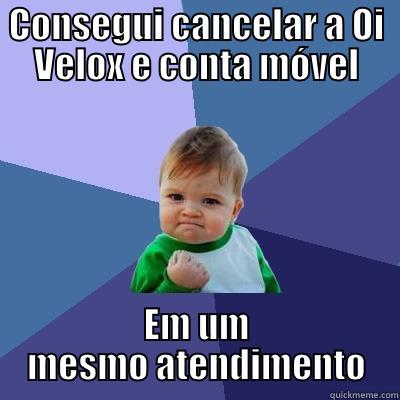 CONSEGUI CANCELAR A OI VELOX E CONTA MÓVEL EM UM MESMO ATENDIMENTO Success Kid