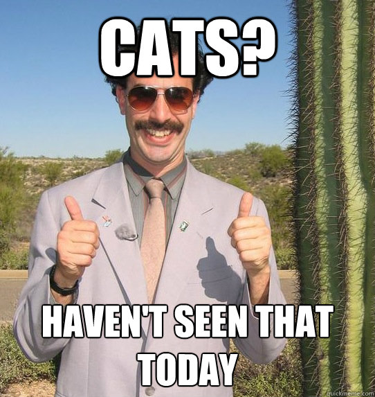 Cats? Haven't seen that today  Upvoting Kazakh