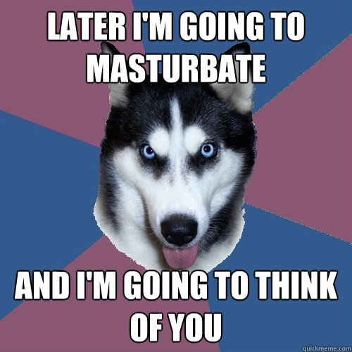 later i'm going to masturbate and i'm going to think of you  Creeper Canine