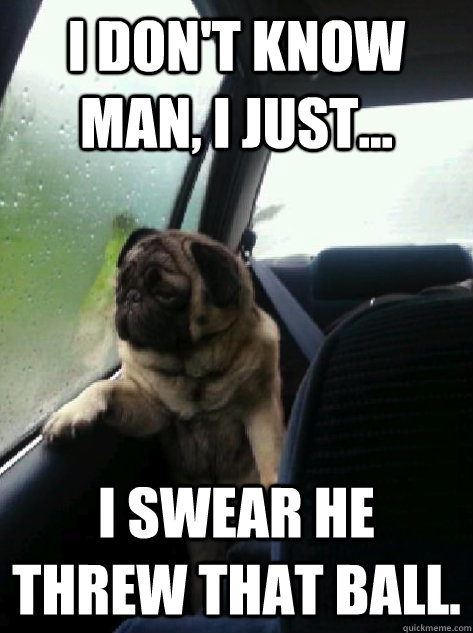 I don't know man, I just... I swear he threw that ball. - I don't know man, I just... I swear he threw that ball.  Introspective Pug