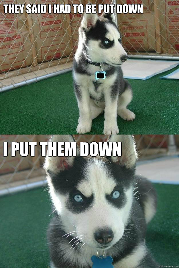 They said I had to be put down I put them down  Insanity puppy
