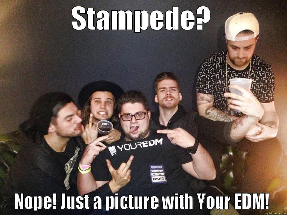 Stampedeo Your EDM - STAMPEDE? NOPE! JUST A PICTURE WITH YOUR EDM! Misc