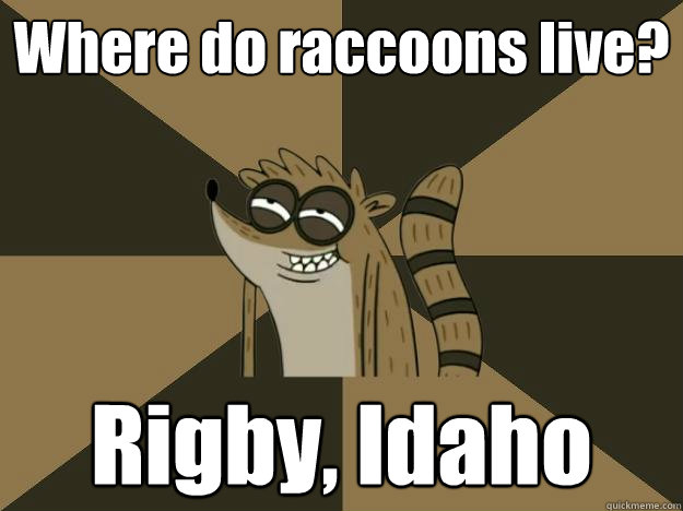 Where do raccoons live? Rigby, Idaho - Where do raccoons live? Rigby, Idaho  Lame Pun Rigby