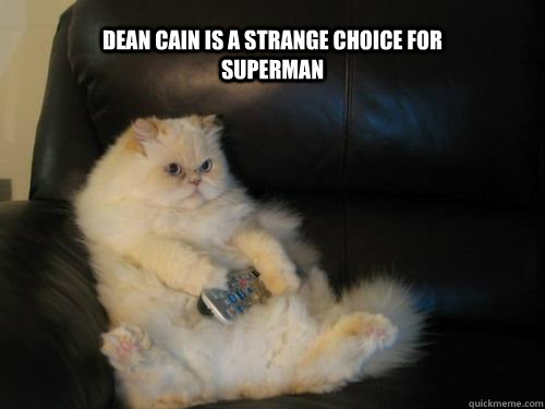 Dean Cain is a strange choice for Superman  Disapproving TV Cat