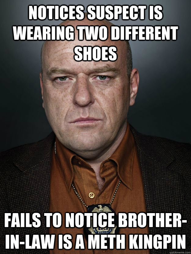 Notices suspect is wearing two different shoes Fails to notice Brother-In-law is a meth kingpin - Notices suspect is wearing two different shoes Fails to notice Brother-In-law is a meth kingpin  Hank Schrader