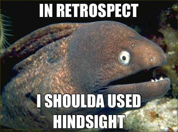 IN RETROSPECT I SHOULDA USED HINDSIGHT  Bad Joke Eel