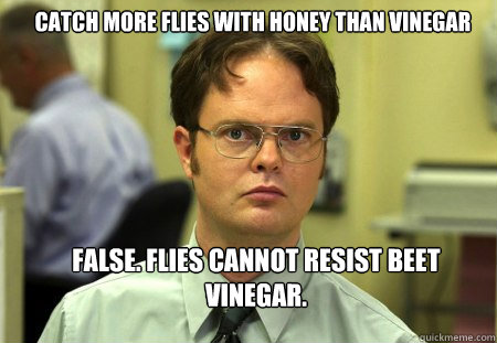 catch more flies with honey than vinegar false. flies cannot resist beet vinegar.  Schrute