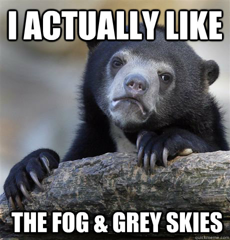 I actually like  the fog & grey skies  Confession Bear