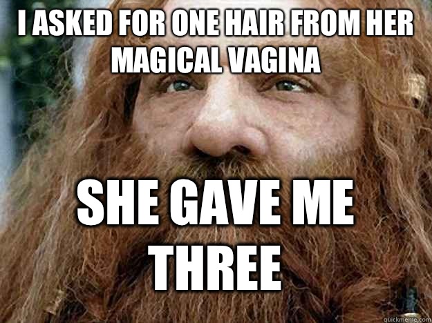 I ASKED FOR ONE HAIR FROM HER MAGICAL VAGINA SHE GAVE ME THREE  - I ASKED FOR ONE HAIR FROM HER MAGICAL VAGINA SHE GAVE ME THREE   Gimli