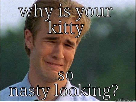 WHY IS YOUR KITTY SO NASTY LOOKING?  1990s Problems