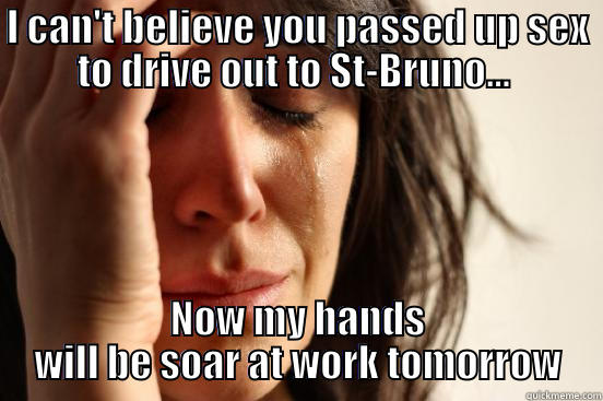 I CAN'T BELIEVE YOU PASSED UP SEX TO DRIVE OUT TO ST-BRUNO...  NOW MY HANDS WILL BE SOAR AT WORK TOMORROW First World Problems