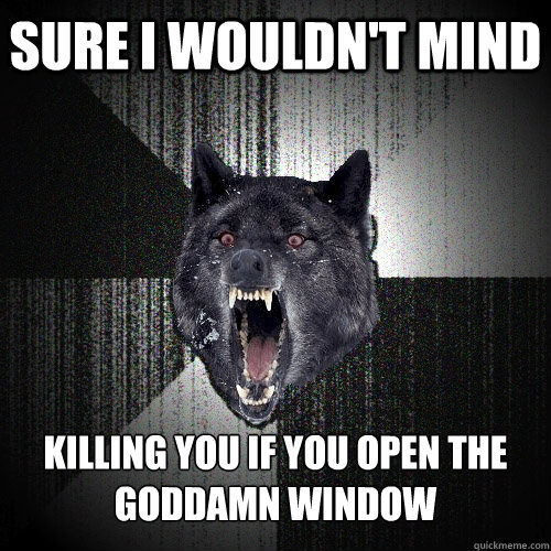 Sure I Wouldn't mind killing you if you open the goddamn window  Insanity Wolf