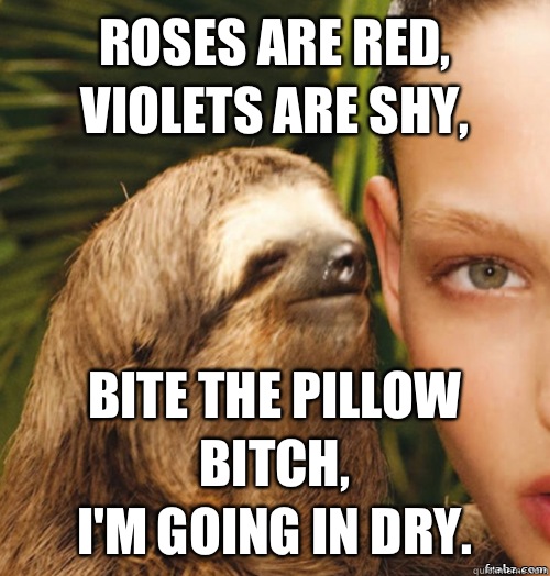 Roses are red,
Violets are shy, Bite the pillow bitch,
I'm going in dry.   rape sloth