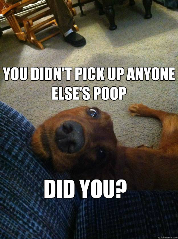 you didn't pick up anyone else's poop did you?  