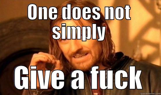 ONE DOES NOT SIMPLY GIVE A FUCK Boromir
