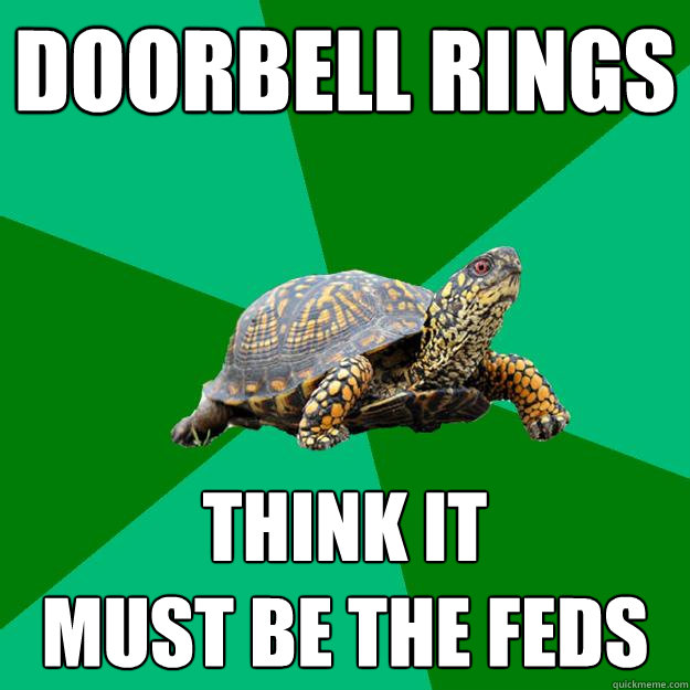 doorbell rings think it 
must be the feds  Torrenting Turtle