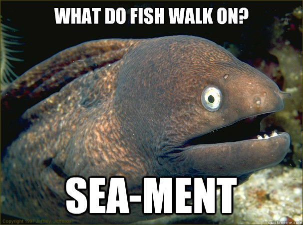 What do fish walk on? sea-ment  Bad Joke Eel