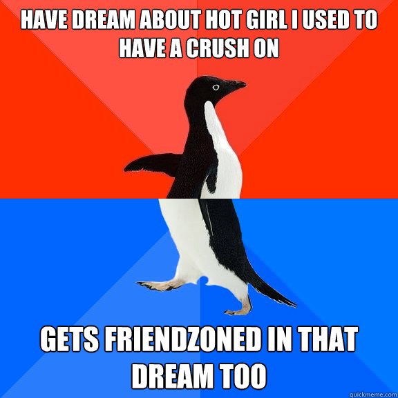 have dream about hot girl i used to have a crush on gets friendzoned in that dream too  Socially Awesome Awkward Penguin