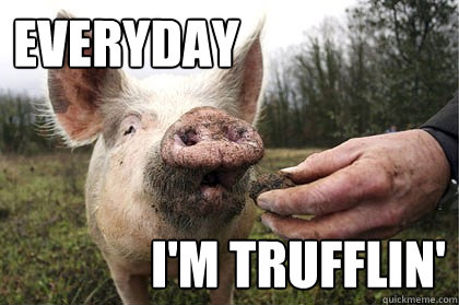 Everyday I'm trufflin' - Everyday I'm trufflin'  Truffle Pig